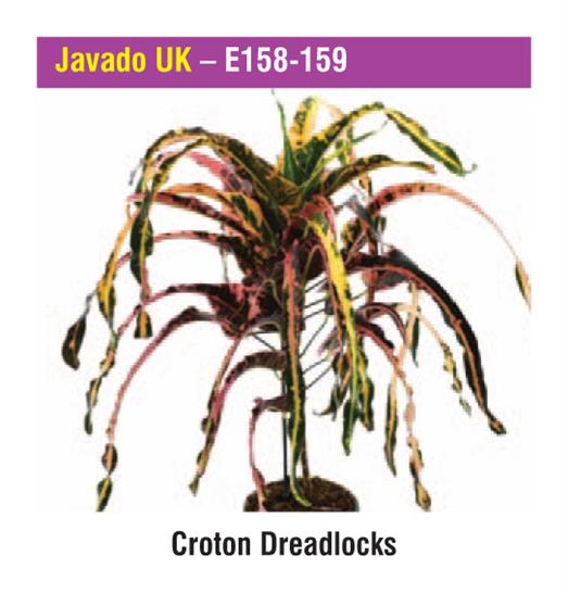 Javado UK